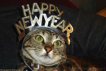 Happy New Year!